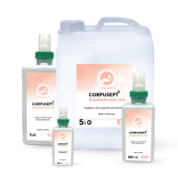 Hands_Rub in disinfection Gel